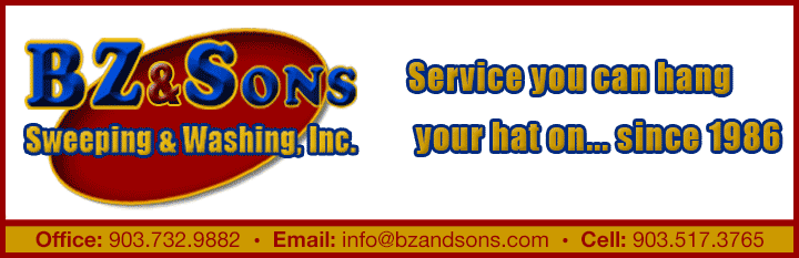 BZ & Sons Company Logo